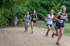 Open XC  (243 of 463)